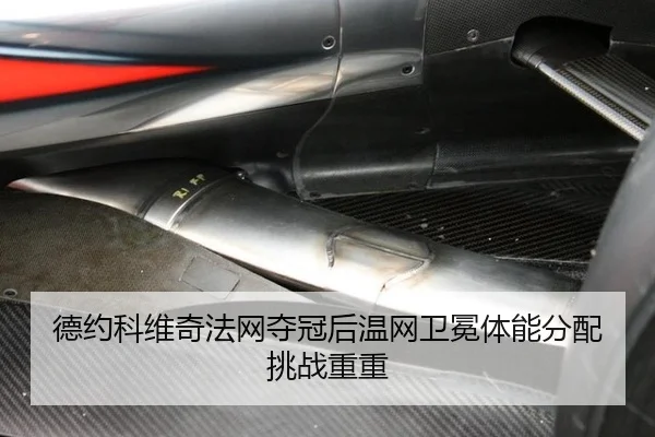 德约科维奇法网夺冠后温网卫冕体能分配挑战重重
