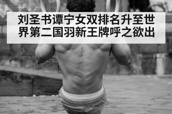刘圣书谭宁女双排名升至世界第二国羽新王牌呼之欲出